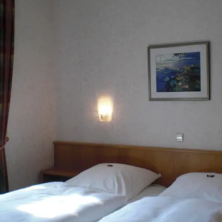 Brauhaus-hotel 3*